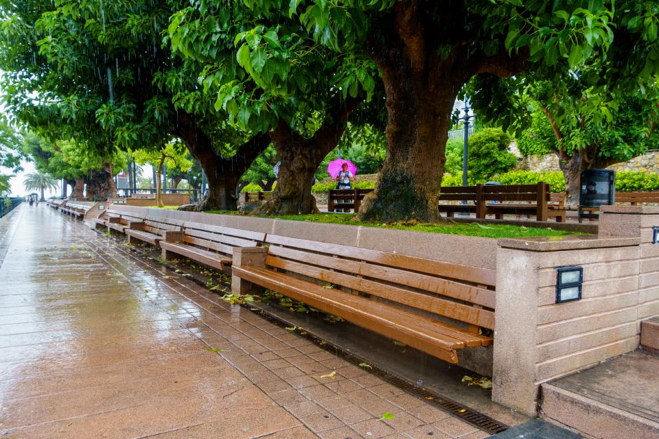 Lluvia sobre rosa